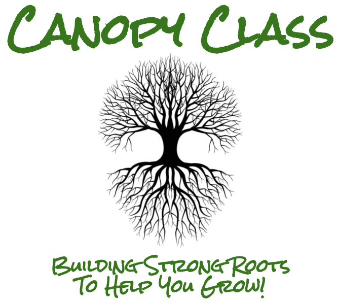 Canopy Class